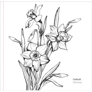 Alternative view of Spring Blooms Artist's Coloring Book