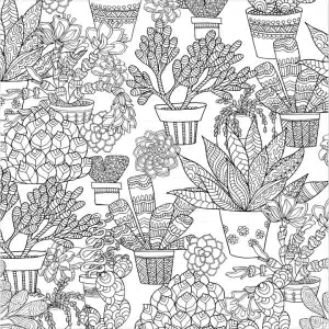 Alternative view of Succulents Artist's Coloring Book