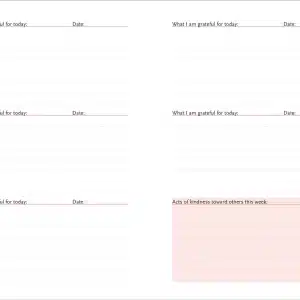 Alternative view of A Daily Dose of Gratitude Journal