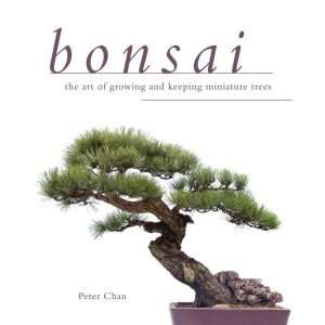 Bonsai By Peter Chan