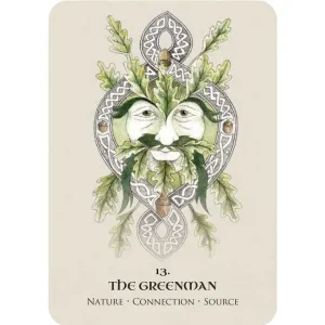 Celtic Spirit Oracle By Nicola Mcintosh - Image 4