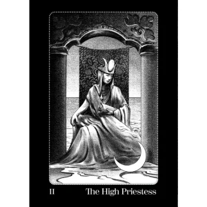 Alternative view of Nightfall Tarot Cards by Amory Abbott