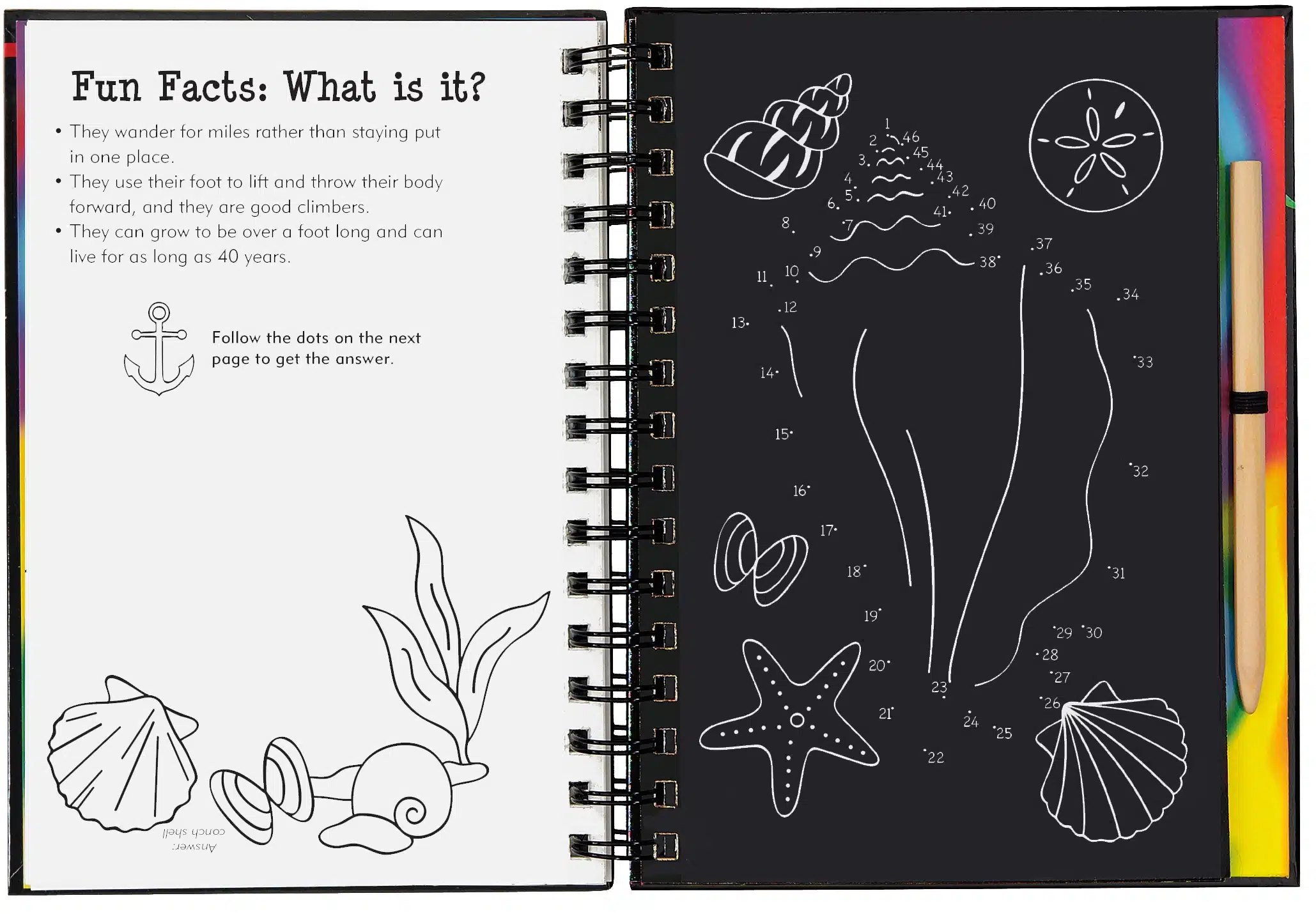 Games and Puzzles Ocean World Scratch and Sketch - Image 3