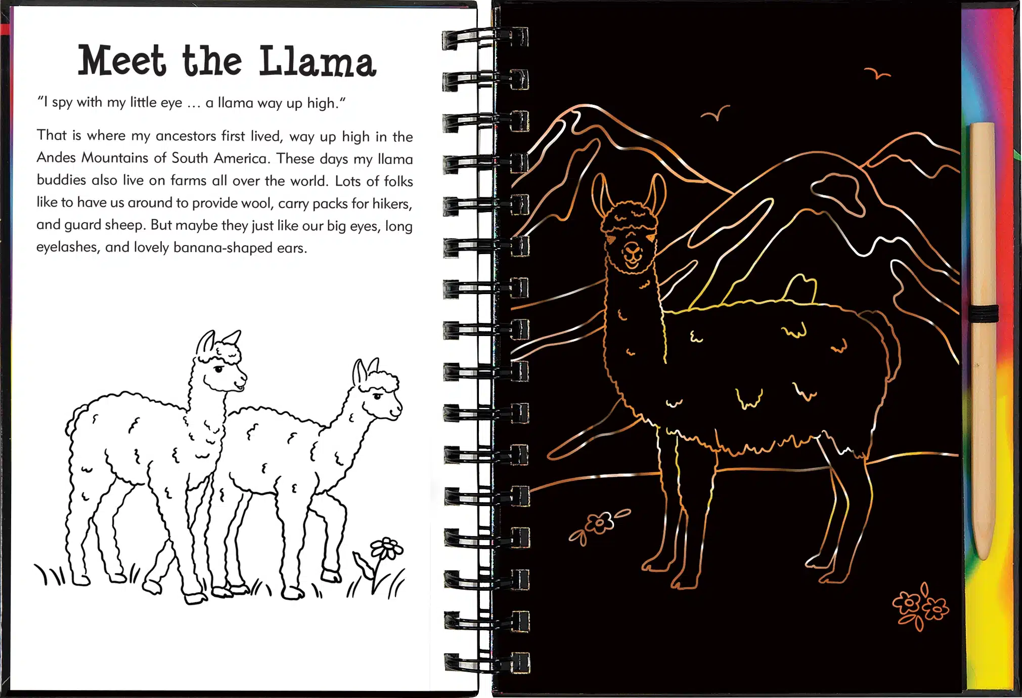 Llamas and Friends Scratch and Sketch - Image 2