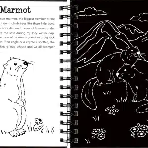 Llamas and Friends Scratch and Sketch - Image 3