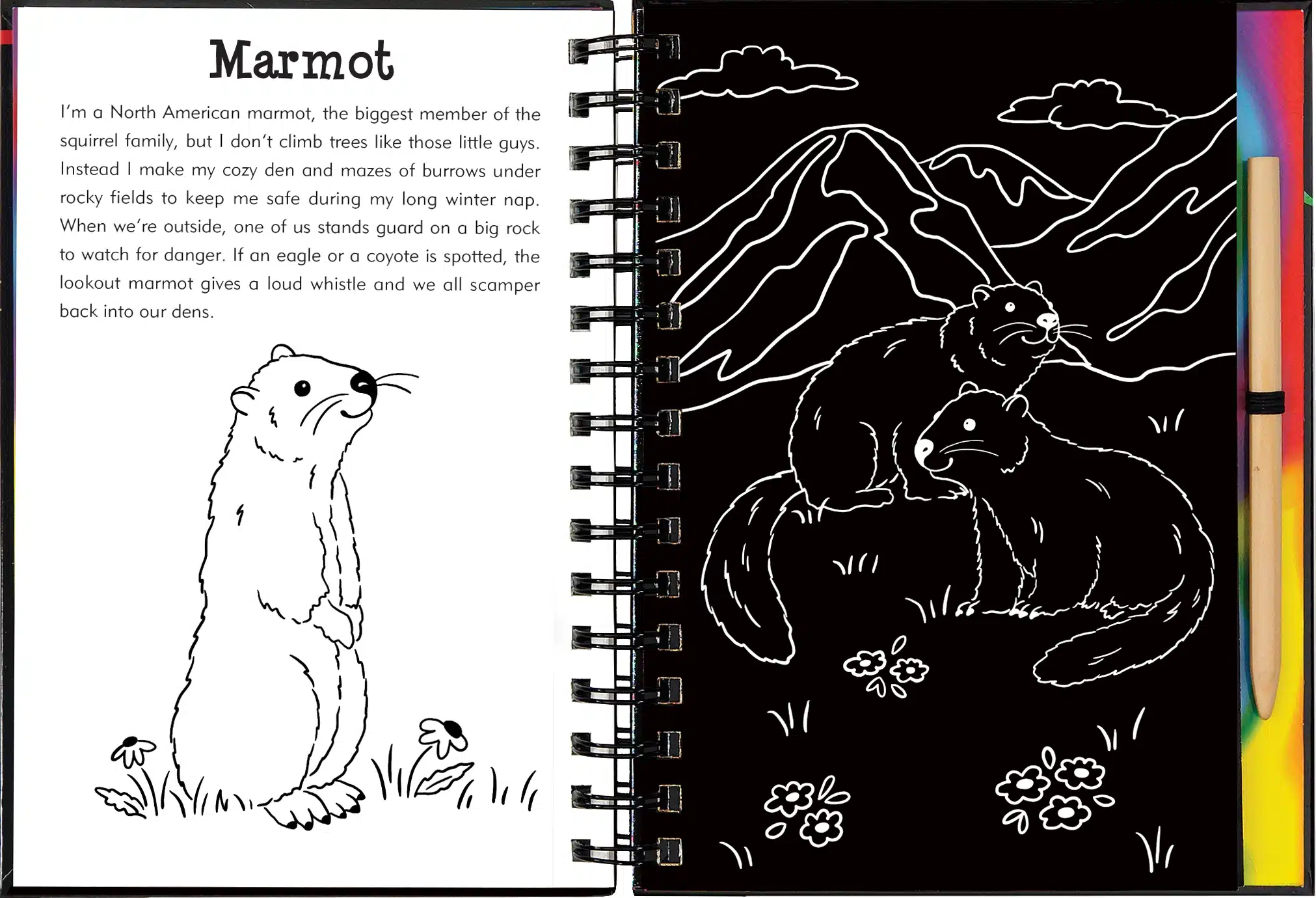 Llamas and Friends Scratch and Sketch - Image 3