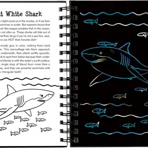 Alternative view of Sharks Scratch and Sketch